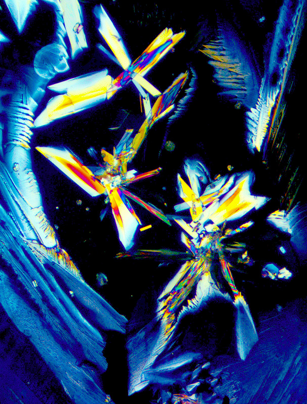 Wine Diamond Art - Wine Diamond Art